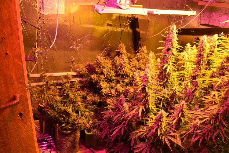 Slika /PU_ZG/slike/PUZ/2020/STUDENI/18-11-20- droga/DSC_1.JPG